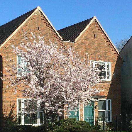 3 Summertown Court أكسفورد المظهر الخارجي الصورة