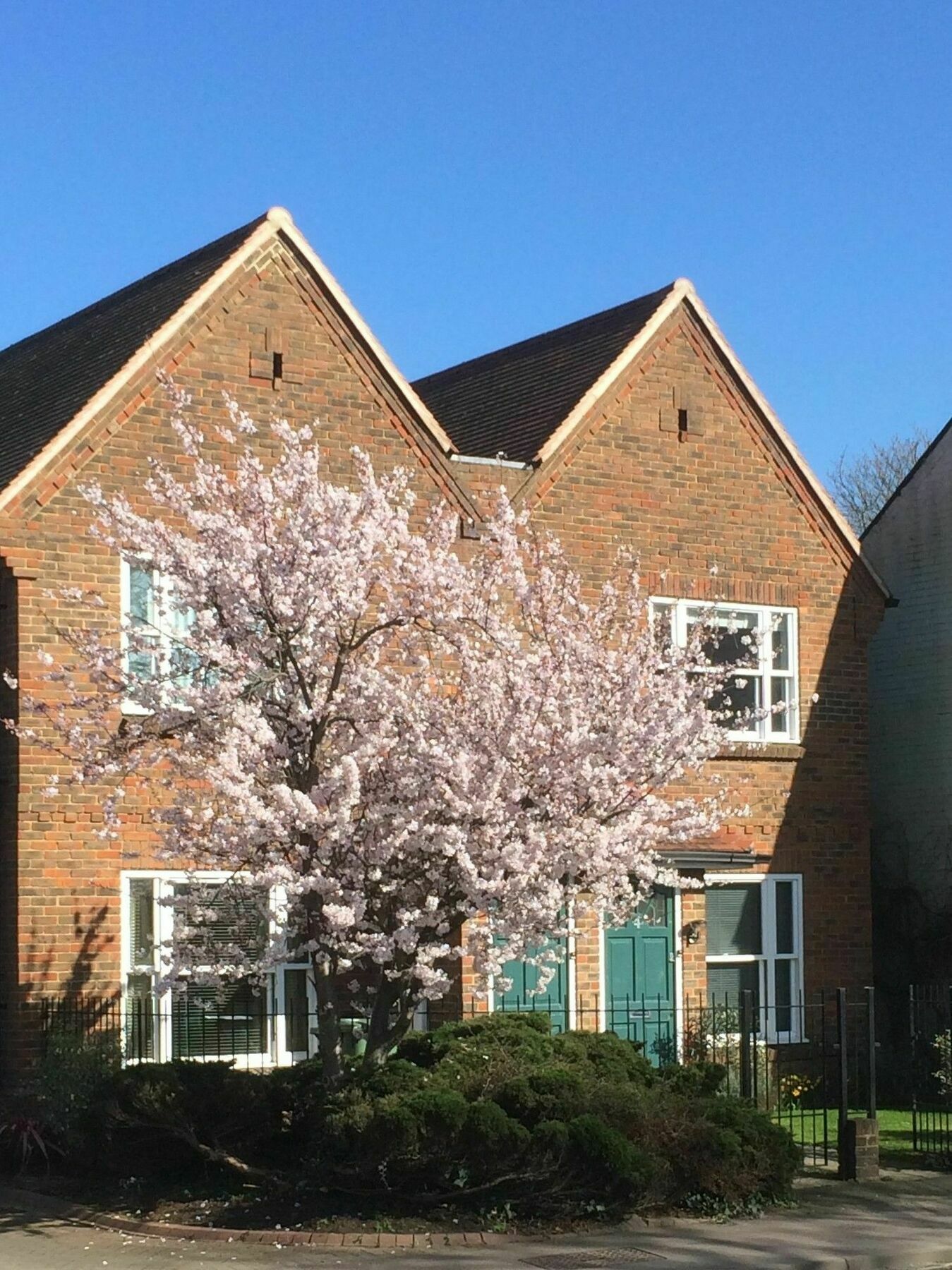 3 Summertown Court أكسفورد المظهر الخارجي الصورة